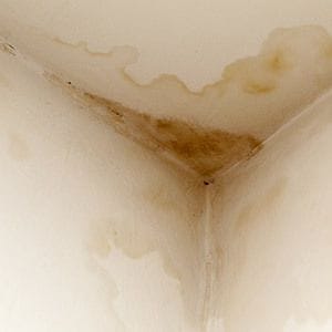 How to locate and prevent a disastrous ceiling leak How to locate and prevent a disastrous ceiling leak